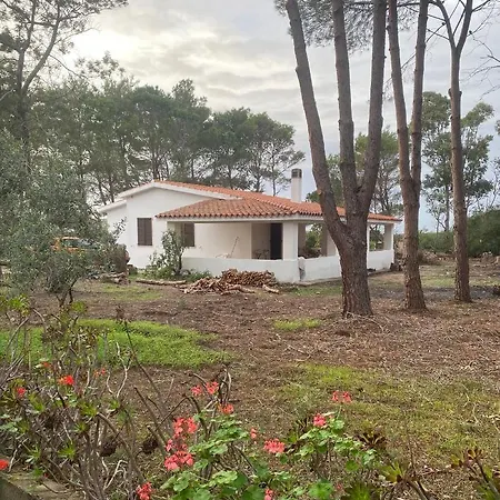 Casa Indipendente In Campagna *
