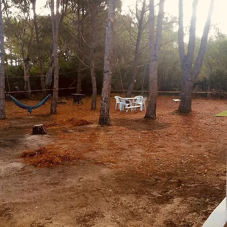 Casa Indipendente In Campagna *